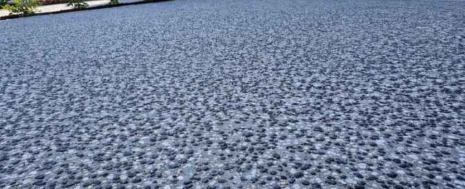Driveway Concrete